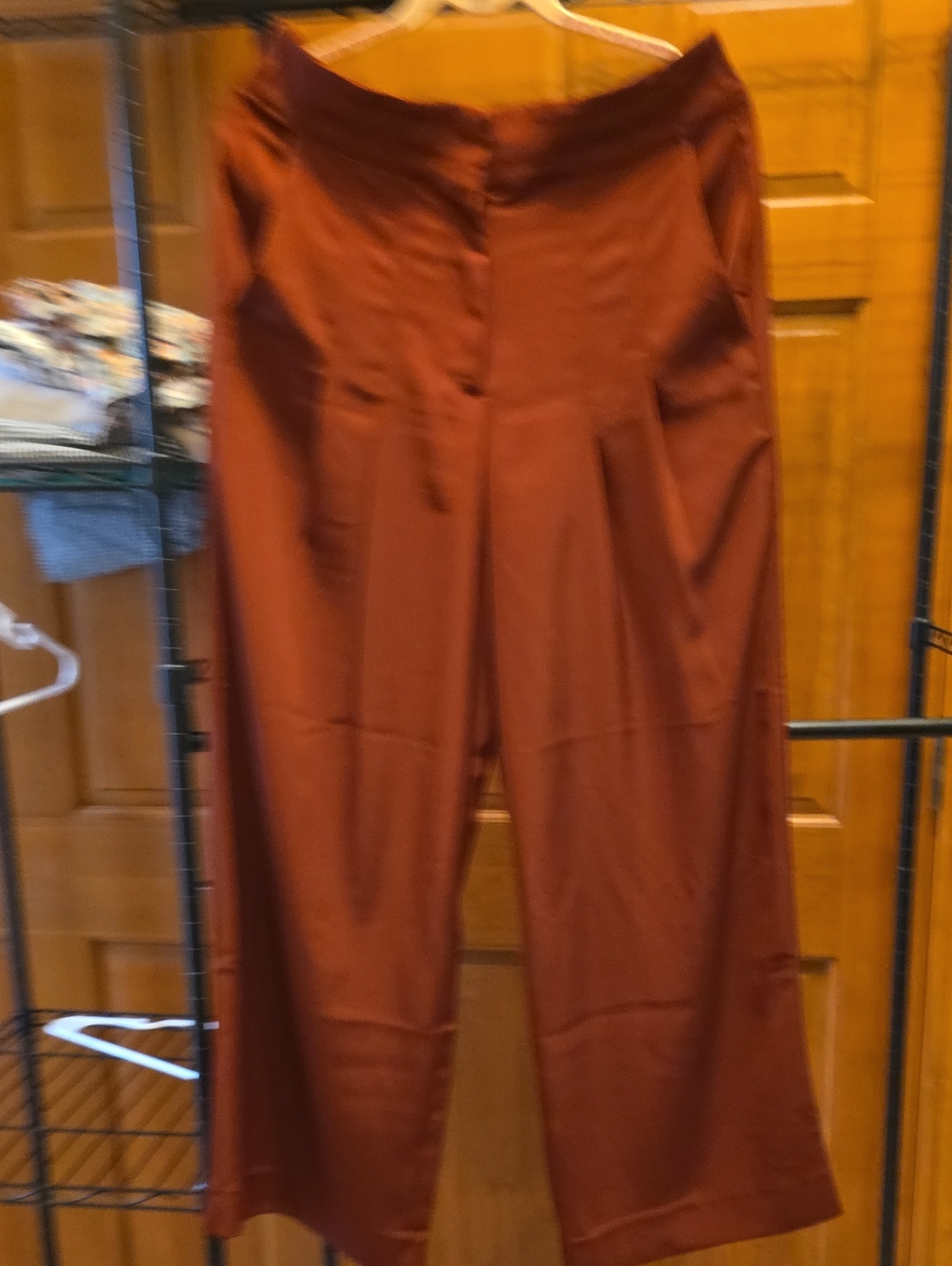 Banana Republic Wide-Leg Pull-On Pants in Rust
